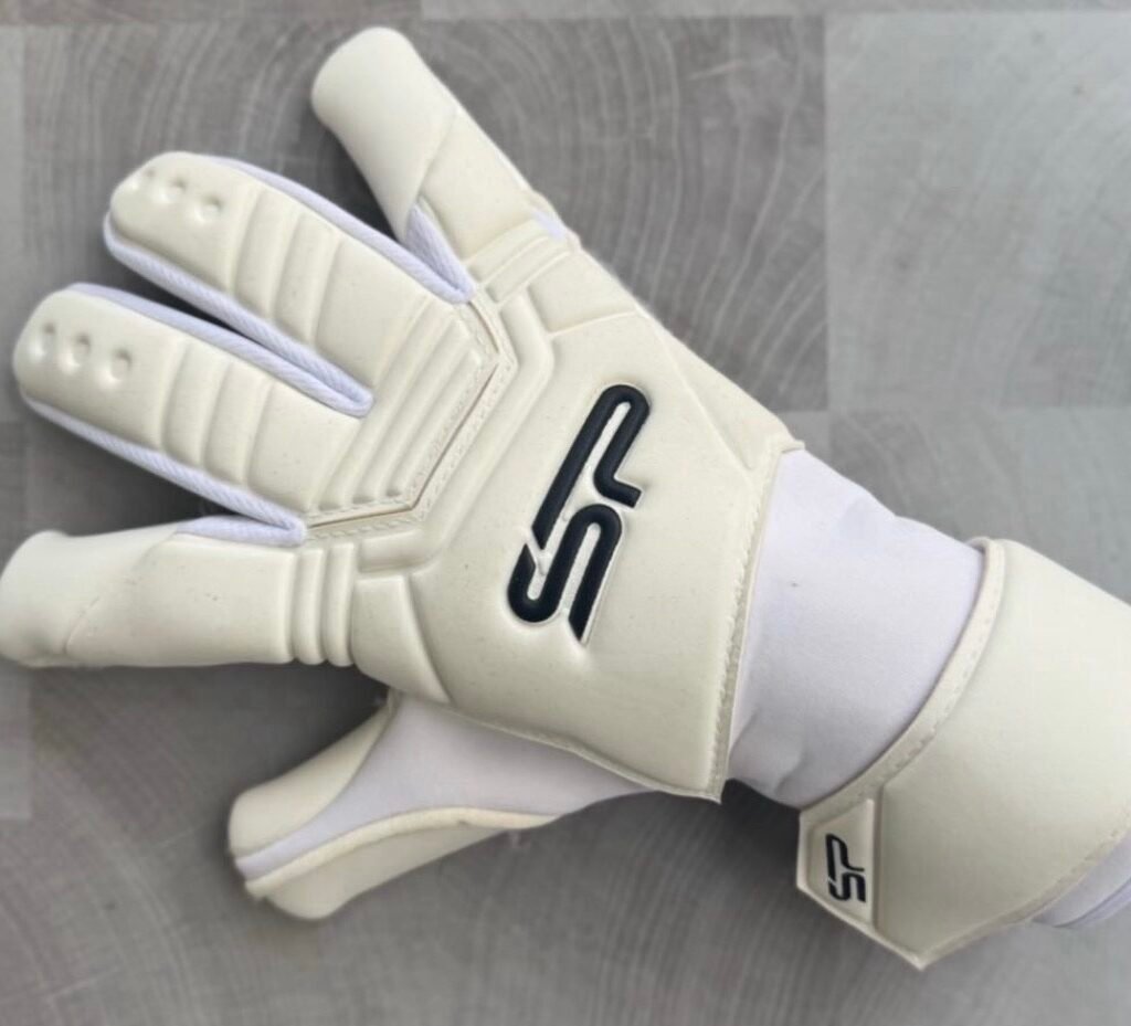 SP Arctic Pro