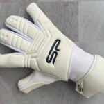 SP Arctic Pro
