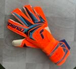 Reusch Attrakt Gold X Evolution WC26